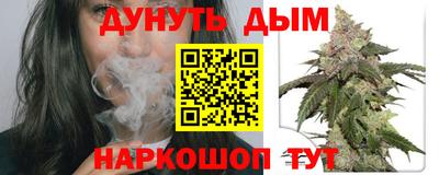 наркотики Кингисепп